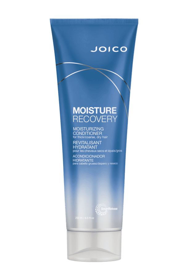 JOICO Moisture Recovery Conditioner 250 ml Kondicionieriai