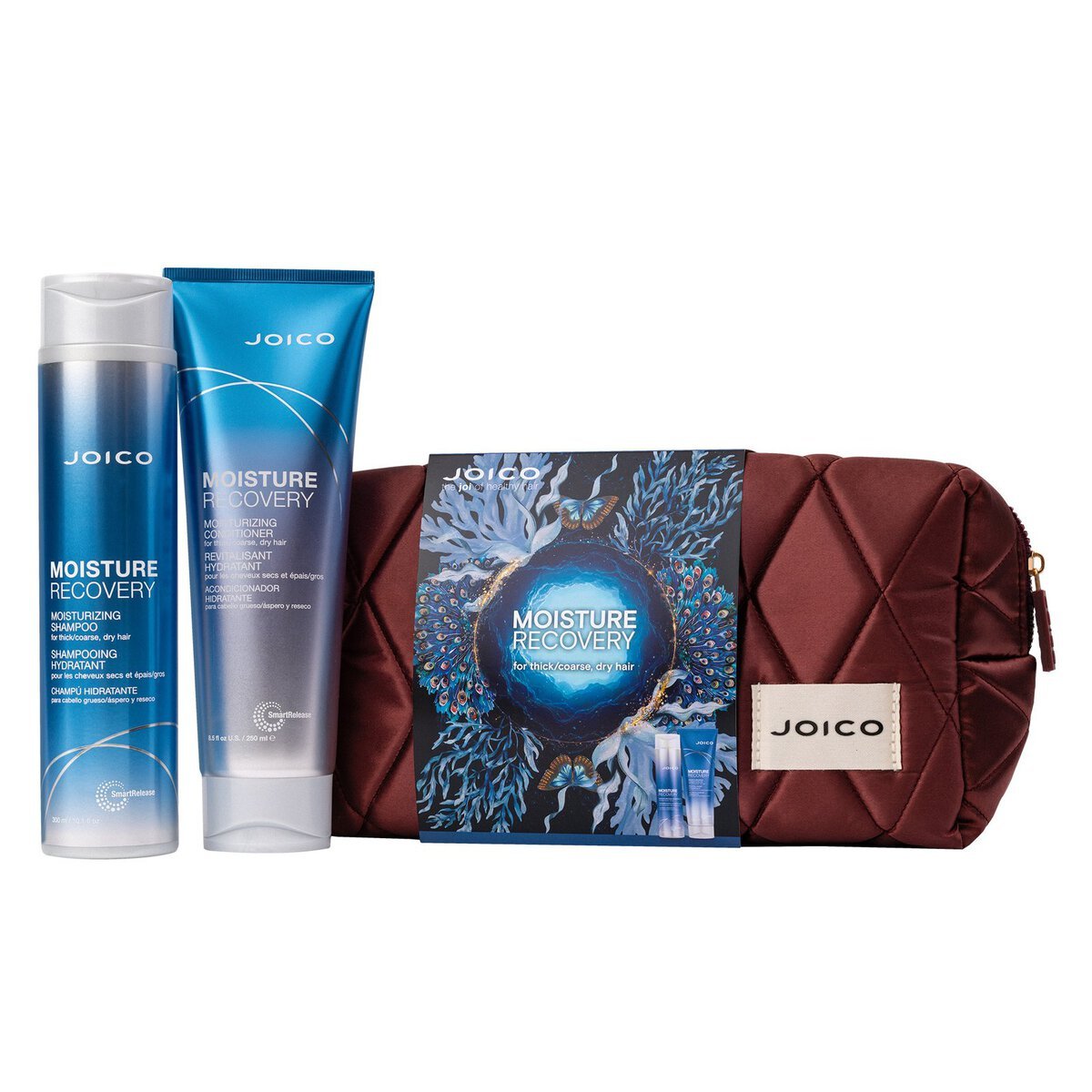 JOICO Moisture Recovery Dreamscape Duo